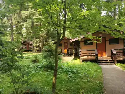 Solontsovo - 38