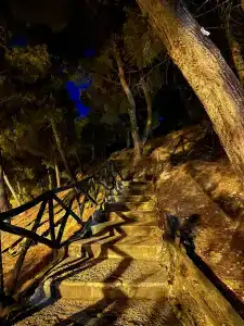 Pugnochiuso Resort - Degli Ulivi - 9