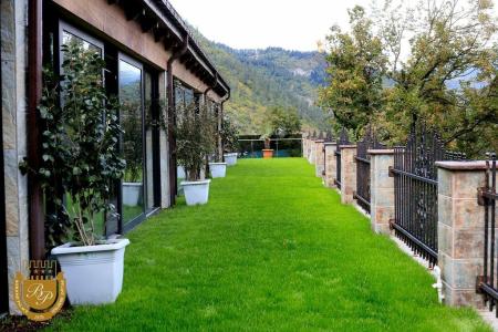Borjomi Palace Health & Spa Center - 0