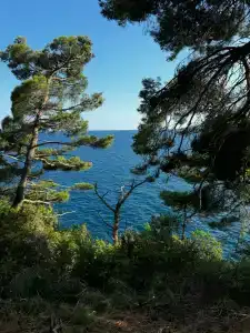 Ami Budva Petrovac - 32