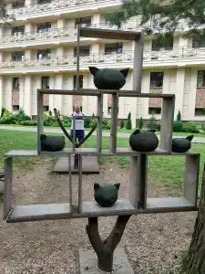 Медикал Спа Резорт Альфа Радон - 97