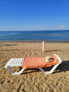 ЛетоoтеЛь - 43