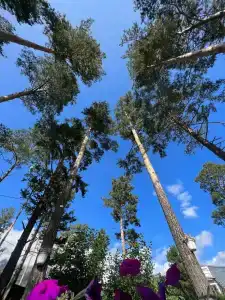 Уютный отель "Подснежник" - 85