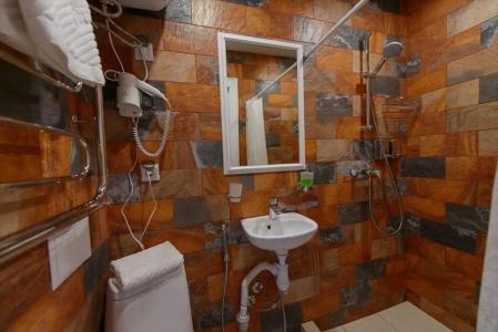 Art Nuvo Palace - 17