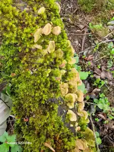 Kikino Na Vele Guest House - 25