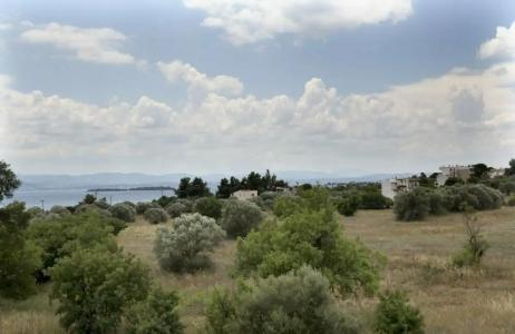 Eretria & Spa Resort - 25