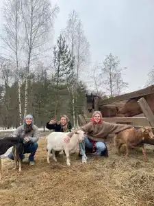 Glintwood Recreation Center - 91