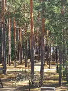 Березина (Минская обл.) - 15