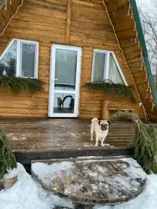 Yakovka57 Tourist base - 50