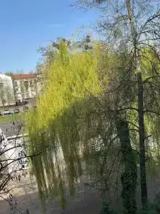 АМАКС Премьер-отель - 32