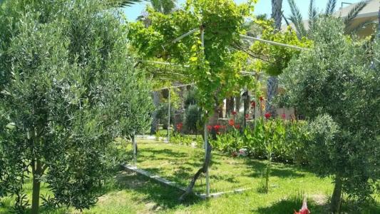 Sammy's Kyrenia Boutique & Pool - 25