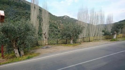Şirince Klaseas&Restaurant - 24