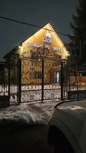 Lion Almaty - 10