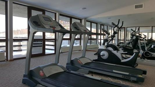 Cottage Crystal Bakuriani - 45