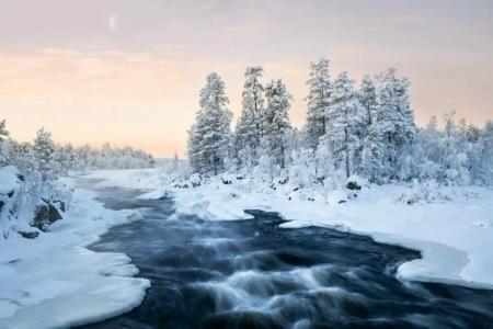 Wilderness Inari & Igloos - 45