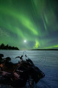 Wilderness Inari & Igloos - 43