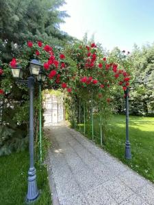 Imperial Plovdiv, a member of Radisson Individuals - 11