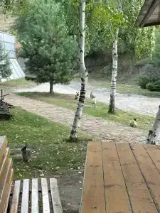 Park-Otel Kanyon Recreation camp - 49