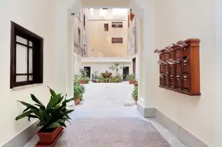 Dandi Domus - 1