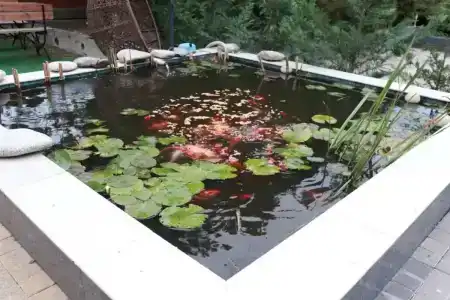 Solnechnaya Gavan - 25