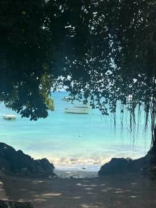 Residence Mon Choisy - 20