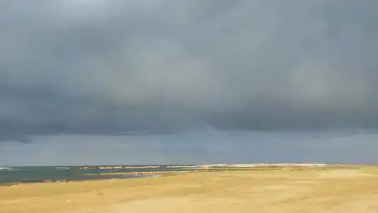 турбаза Прибой - 89