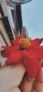 Orbita Boutique - 49