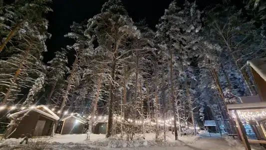 ЛЮБАВА - 75