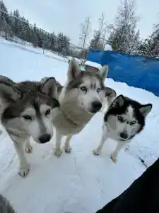 Baza Otdykha Ogni Imandry - 24