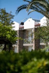 Assos Troy Otel - 39