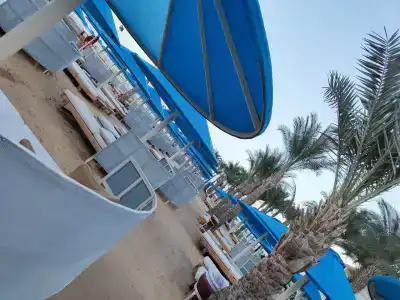 Beach Albatros Resort - 64