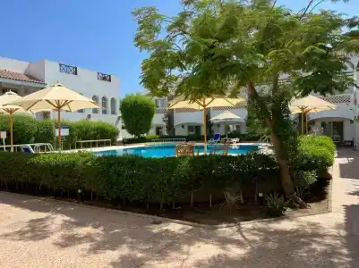 Camel Dive Club & - Boutique - 8