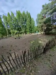 Baza Otdyha Lesnaya - 78