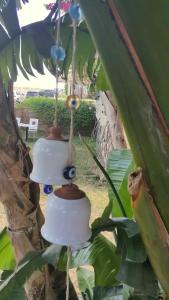 Kamer Exclusive & Suites - 28