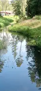 Glintwood Recreation Center - 83