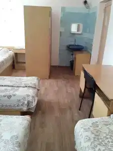 Gostinitsa Birsk - 94