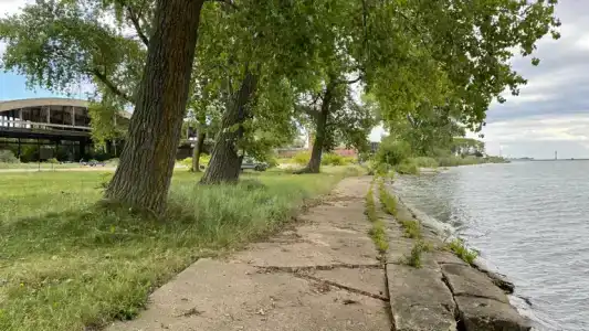 Frische Nehrung - 29