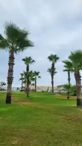 Orfeus Queen Spa - 41