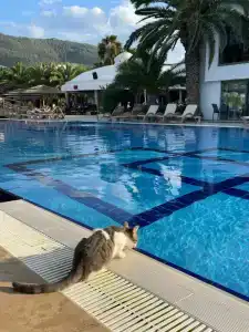 Samara Bodrum Ultra All Inclusive - 17