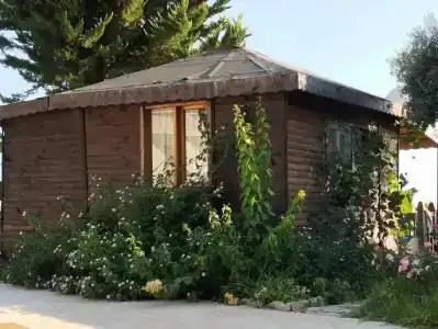 Elysium Elite&Spa - 17