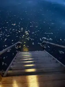 Klub Tikhaya Zavod Tourist base - 18