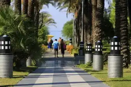 AQI Pegasos World - 29