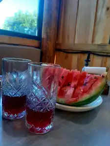 Inn Kochevnik - 1
