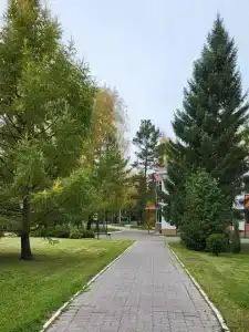 Berezovaya roshcha - 66