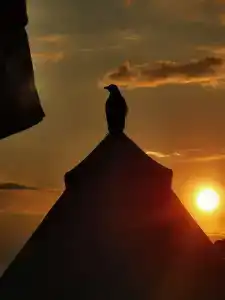 Horus Paradise Resort - Ultra All Inclusive - 99