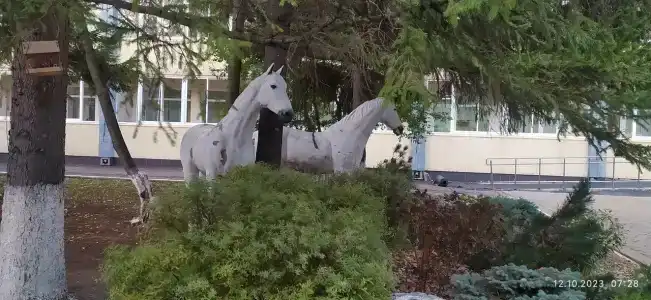 Shifaly -profilaktoriy Sanatorium - 18