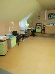 Detskiy Sanatoriy "Rosinka" - 65