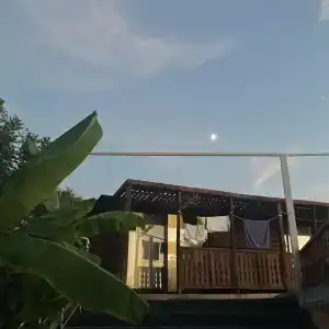 Elysium Elite&Spa - 48