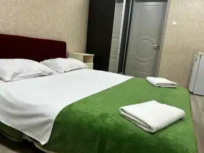 Complex Izumrud - 98