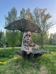 Expedition Park - 18